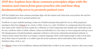 DNP 801 Explain how these common principles align with the mission and vision from your practice site and how they fundamentally serve to promote patient care