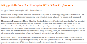 NR 351 Collaborative Strategies With Other Professions