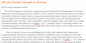 NR 500 Caring Concepts in Nursing