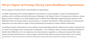 NR 501 Impact of Nursing Theory Upon Healthcare Organization