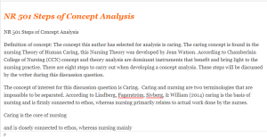 NR 501 Steps of Concept Analysis