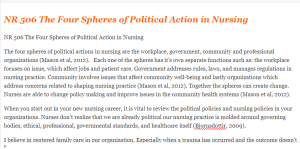 NR 506 The Four Spheres of Political Action in Nursing