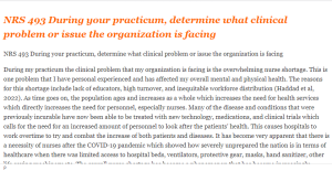 NRS 493 During your practicum, determine what clinical problem or issue the organization is facing