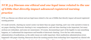 NUR 514 Discuss one ethical and one legal issue related to the use of EHRs that directly impact advanced registered nursing practice