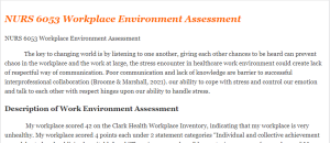 NURS 6053 Workplace Environment Assessment