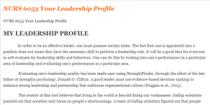 NURS 6053 Your Leadership Profile