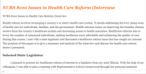NURS 8100 Issues in Health Care Reform (Interview