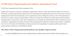 NURS 8302 Organizational Culture Assessment Tool