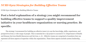 NURS 8302 Strategies for Building Effective Teams